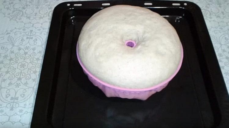 Ridicând aluatul direct în formă, transferați ușor pe o foaie de copt și dați-l în cuptor.