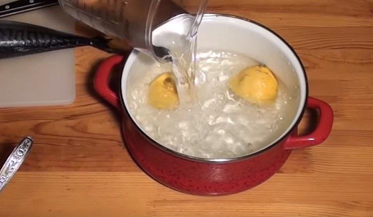 Despeje um litro de água.