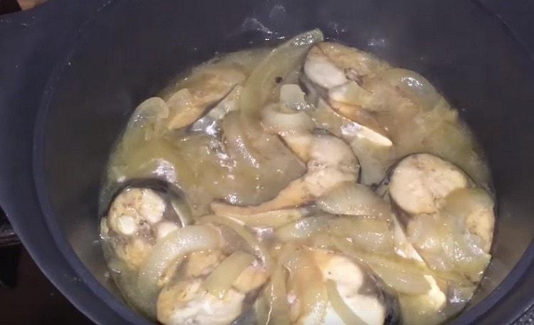 Punem peștele la tocană.