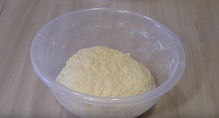 Den Teig in einer Schüssel gehen lassen.