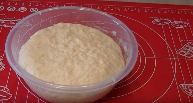 Der Teig stieg gut auf.