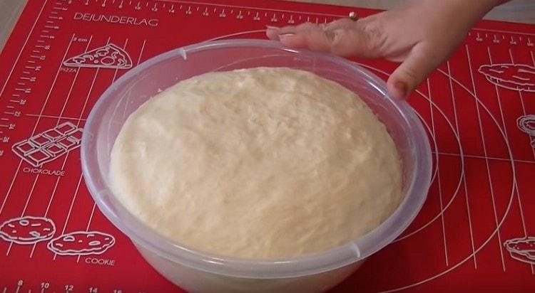 Unsere prächtige Basis für Weiße ist bereit.