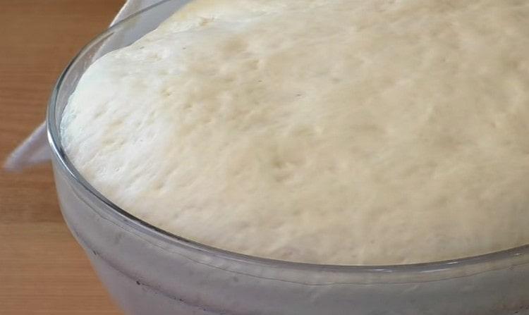 ارتفع العجين للفطائر دون البيض تماما.