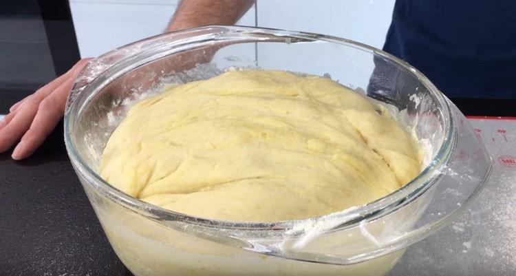 La masa para pasteles con leche se elevó bien, puedes trabajar con ella.