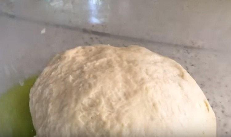 Acum lasă aluatul să crească khachapuri.