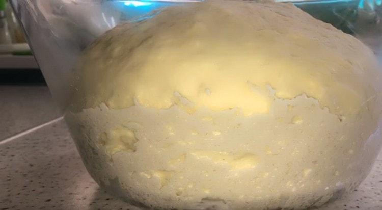 Aluatul a mers bine, puteți începe să faceți khachapuri.