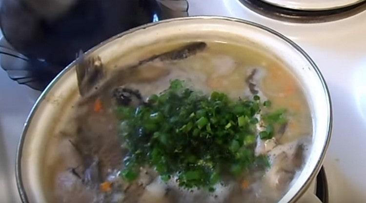 Adăugați ierburi proaspete tocate la urechea aproape terminată.