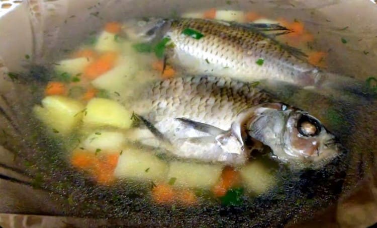 Urechea de crap este bogată și parfumată.