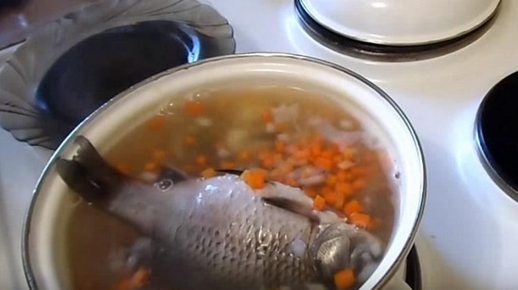 Când cartofii sunt gata, adăugați crapul crucian.