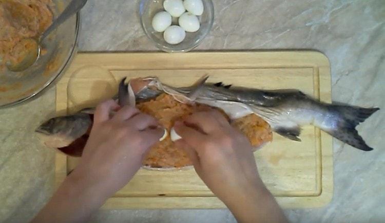 Wir legen Wachteleier in die Füllung.