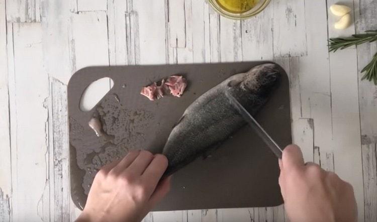 Trucha limpia, intestino, enjuague.