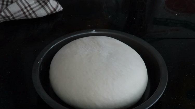 Ikinakalat namin ang workpiece na may isang amag na greased na may langis ng gulay.