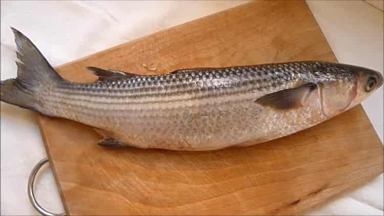 Pour préparer le mulet au four, préparez les ingrédients