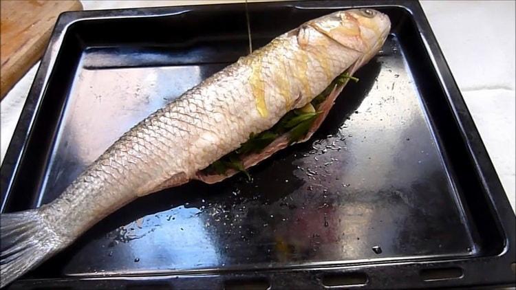 Préchauffez le mulet au four