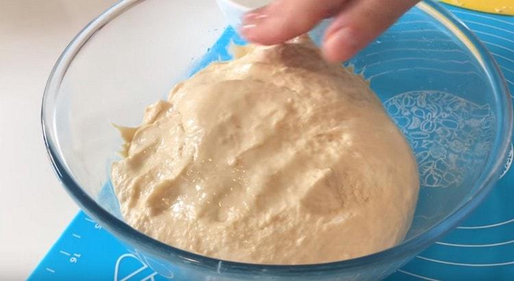 Puneți aluatul într-un bol uns.