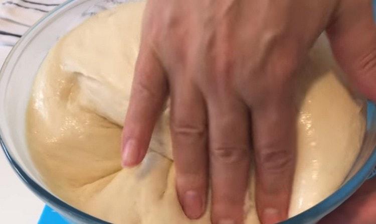 Când aluatul crește, îl zdrobim.