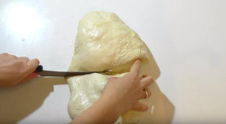 Tărâmăm aluatul înălțat și împărțim la jumătate.