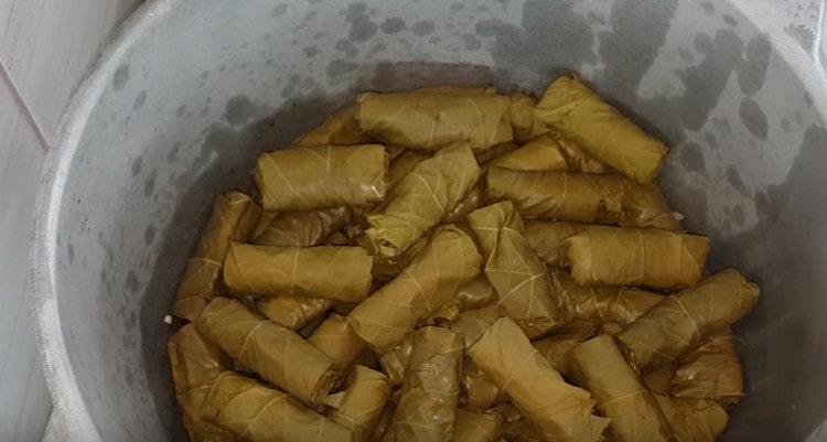 Rozložte na smaženou cibulovou dolmu.