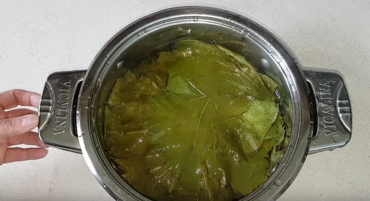 nalijte vroucí vodu na listy.