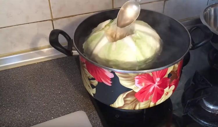 Vi sender kål i vandet, fra tid til anden vender vi det.