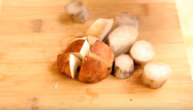 Skær skiver i svampe.