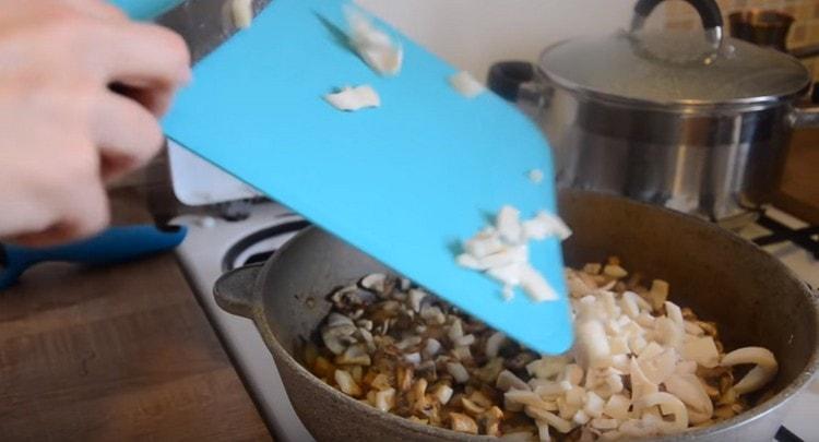 Add the squid in the pan to the onion with mushrooms.