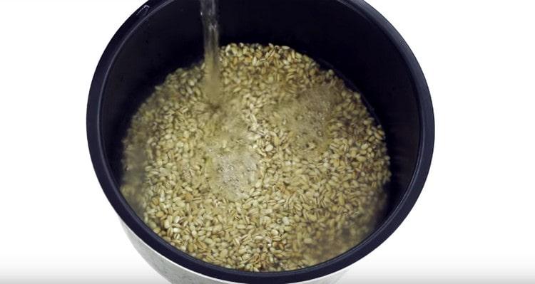 kog byg indtil det er kogt.