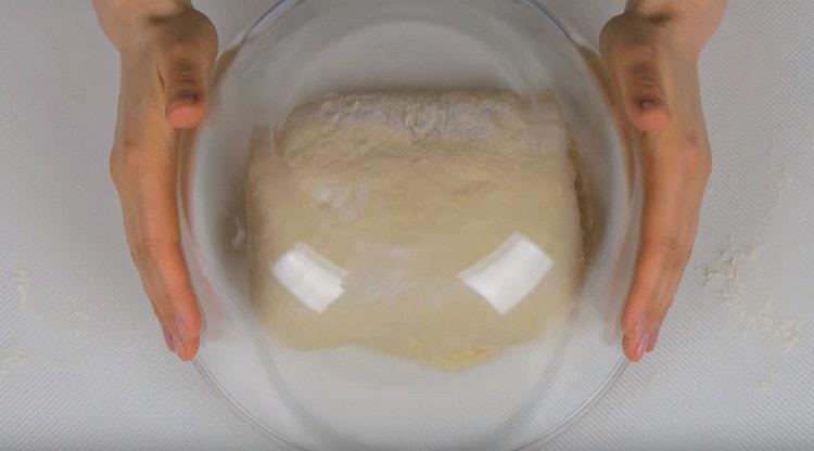 Cover the dough with a large bowl and let it rise again.