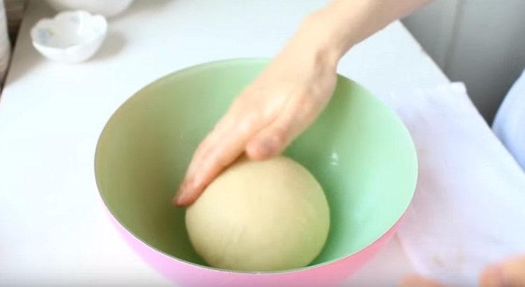 Ipinakalat namin ang kuwarta sa isang mangkok na greased na may langis ng gulay.