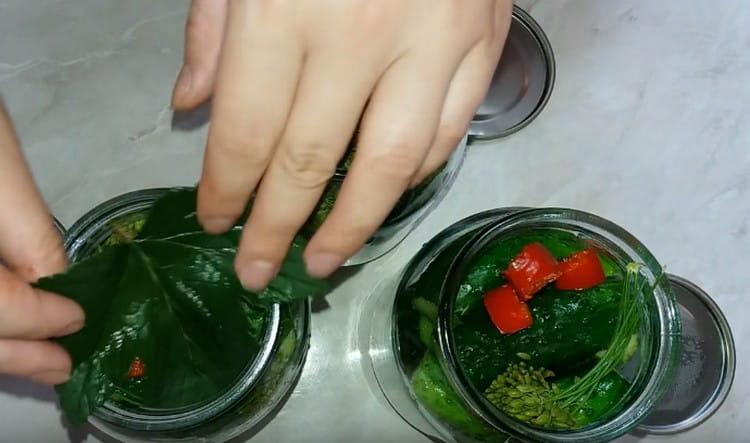 Afegiu la fulla de grosella a la part superior.