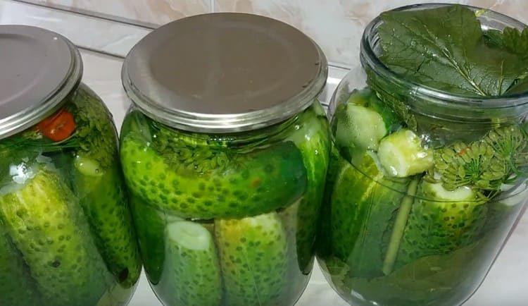 Cobrim els bancs amb tapes.