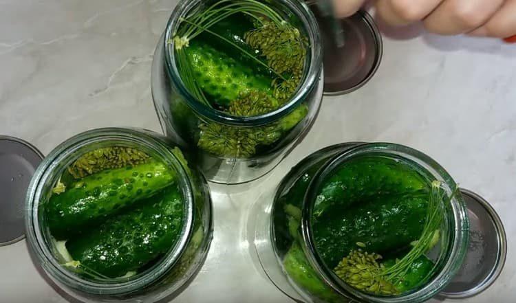 Al damunt dels cogombres afegiu-hi un paraigua més d’anet