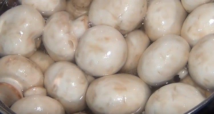 Spălăm ciupercile.