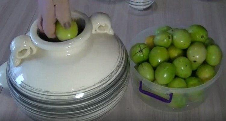 Ponemos tomates en el recipiente.