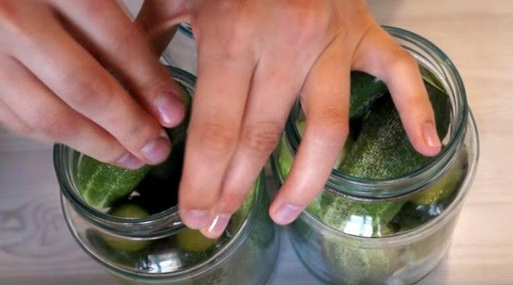 A cada gerro posem alls i, a continuació, cogombres.