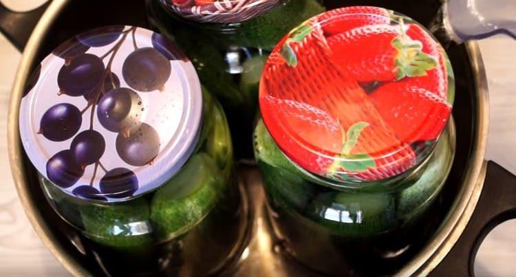 Posem els bancs a esterilitzar.