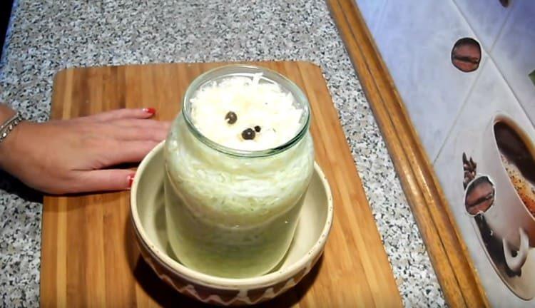 En un jour, le chou est prêt.