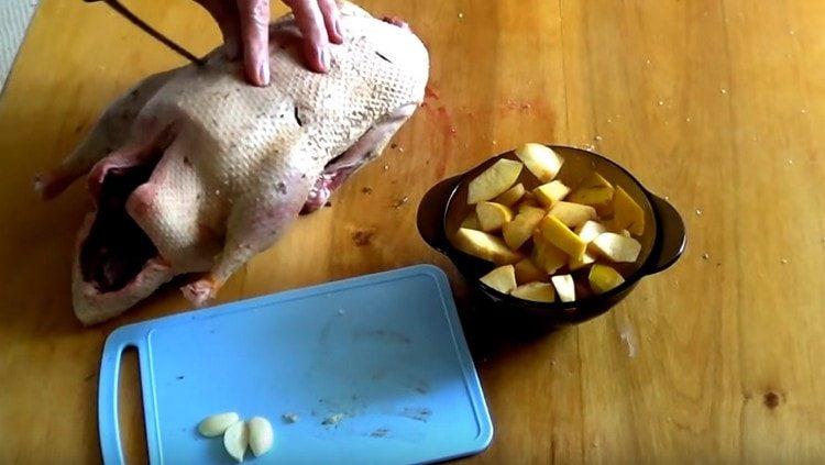 Umplem carcasa cu farfurii de usturoi.