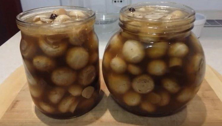 refredar les llaunes i tancar les tapes.