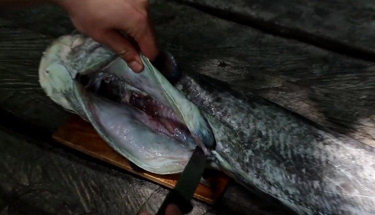 Curățăm carcasa de peștișoare de solzi, tăind.