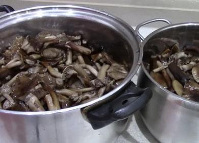 Cum să gătești ciuperci și cât 🍄