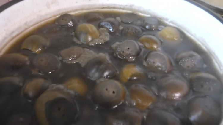 coloque nozes para cozinhar