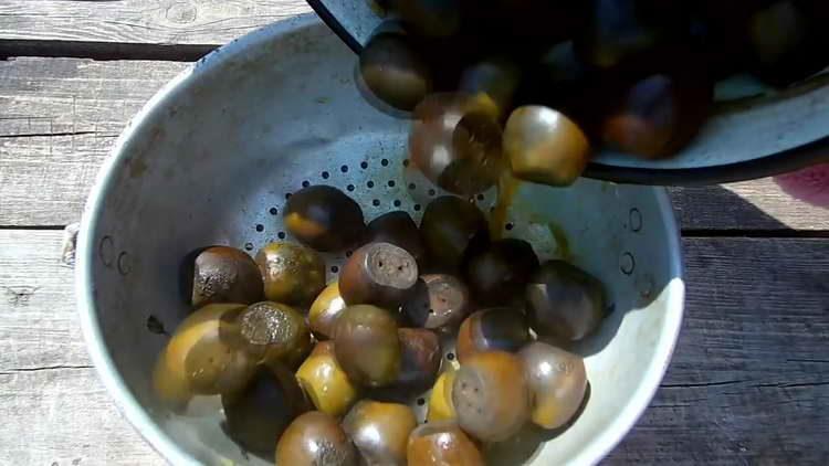 atire nozes em uma peneira