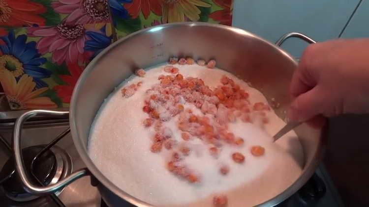 preenchemos espinheiro com açúcar