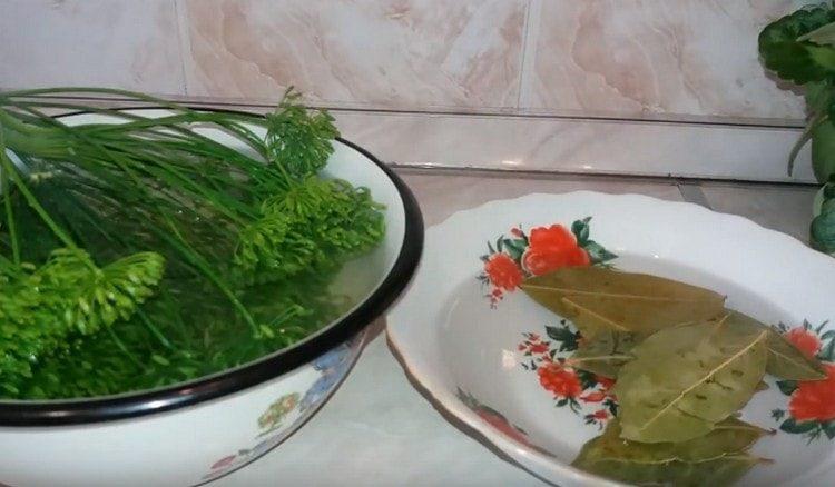 نقع أوراق الغار والمظلات الشبت.