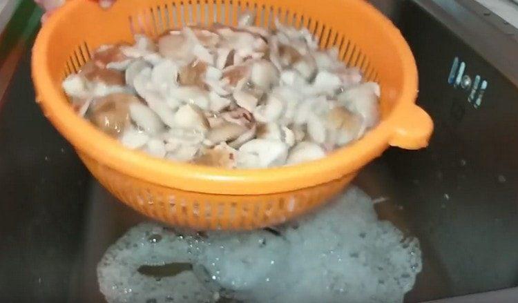 مرة أخرى ، رمي الفطر في مصفاة.