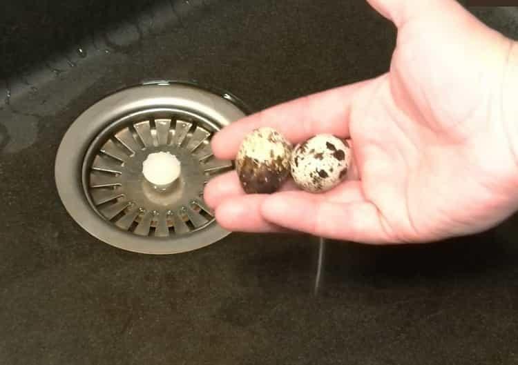 combien cuire des oeufs de caille