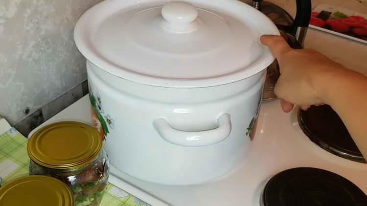 fierbe marinata într-o cratiță