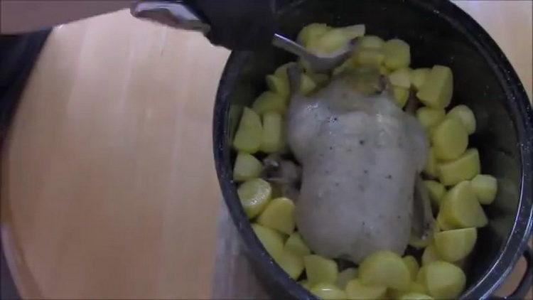 Bland ingredienserne til at lave mad.