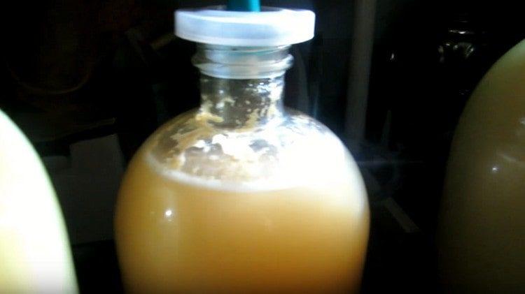 lăsați vinul într-un loc răcoros pentru a fermenta.